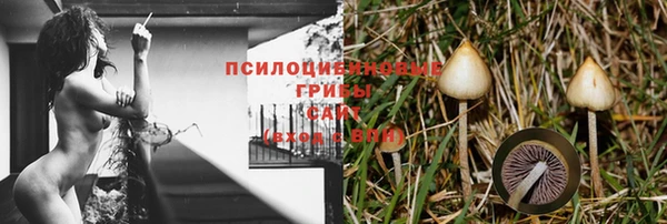 ГАЛЛЮЦИНОГЕННЫЕ ГРИБЫ Алексеевка