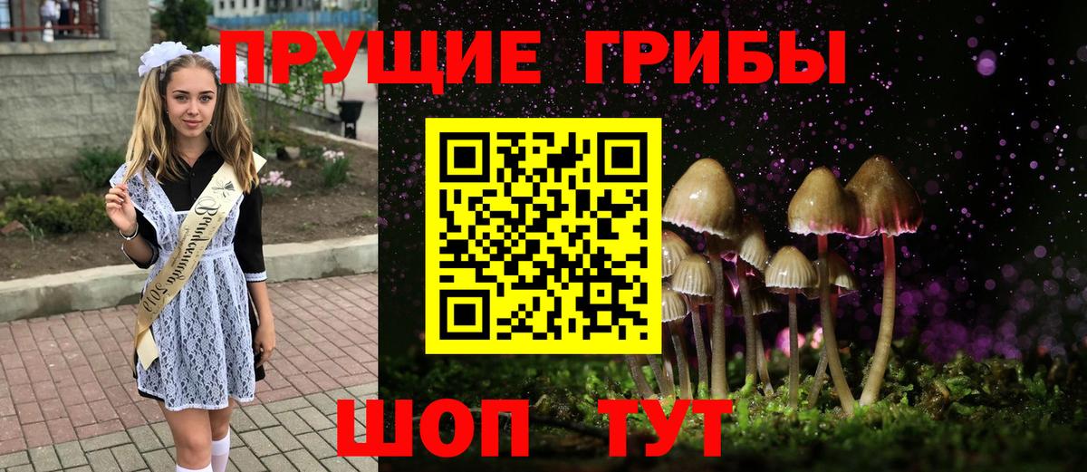 хочу   Псилоцибиновые грибы ЛСД  Мегион  Вход с VPN  Псилоцибиновые грибы мухоморы 