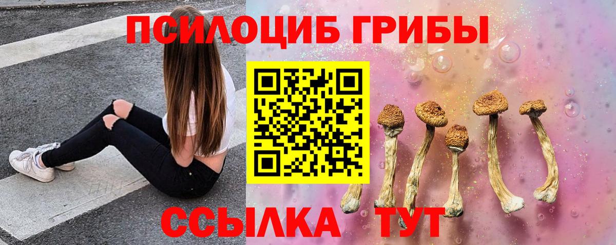 Галлюциногенные грибы прущие грибы Мегион